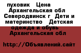 пуховик › Цена ­ 1 500 - Архангельская обл., Северодвинск г. Дети и материнство » Детская одежда и обувь   . Архангельская обл.